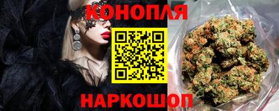 Альфа ПВП Пушкино