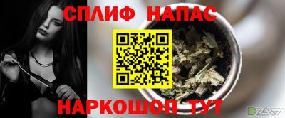 Альфа ПВП Пушкино