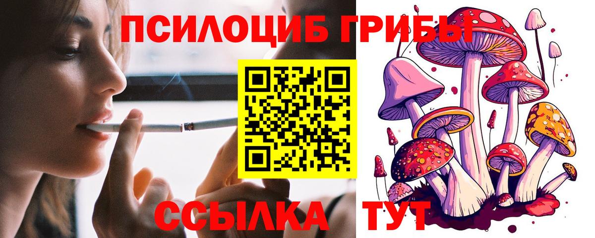 Ростов-на-Дону  Галлюциногенные грибы Cubensis  Вход с VPN 