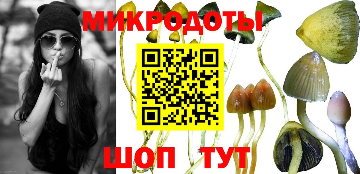 Псилоцибиновые грибы мухоморы Ростов-на-Дону